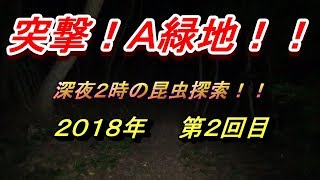 【深夜の昆虫探索動画 / SONY HDR-PJ680 + RODE VideoMicro】 A緑地 （名古屋市天白区）を探索してみた