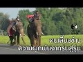 Animals Speak [by Mahidol] คนเลี้ยงช้าง ความผูกพันจากรุ่นสู่รุ่น