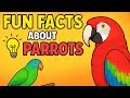 Amazing Fun Facts About Parrots 🦜|| Learning Fun For Kids|