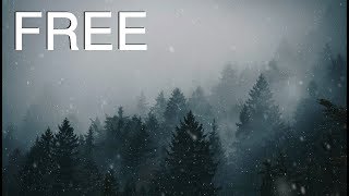 Snowfall in Forest | FREE Motion Background Animation - 4K