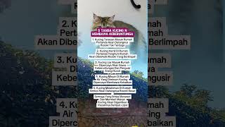 5 Tanda kucing pembawa keberuntungan  #tips #infosehat #kesehatan #shorts