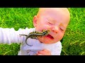 Cute Babies Meet Animals in The Small Garden - Baby Outdoor Videos