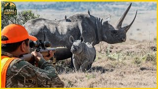 The Day the Rhino Attacked: Inside Africa’s Most Dangerous Hunt | Invasive Species