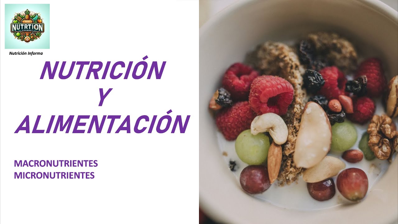 CONCEPTOS BASICOS DE NUTRICIÓN Y ALIMENTACIÓN  | Nutrición Informa.