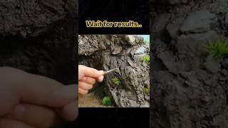 Mini Mountain House Build 🏡⛰️# MiniHouse#DIY#Satisfying#shorts