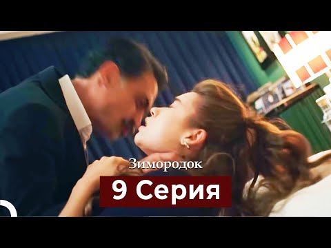 Зимородок 9 Cерия (Русский дубляж)