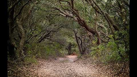 Hell Razer - Track A1 (Untitled - All Systems Activated - with Images)