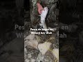 Pesca de bagre en Willard bay Utah