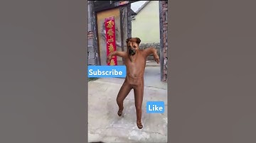 Ai video generator #shortsfeed #shorts #aivideogenerator