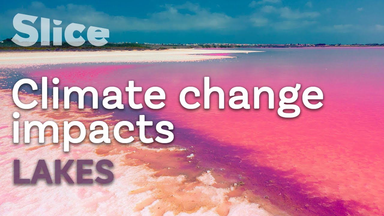 Documentary backdrop image for The Shrinking Great Salt Lake (2020)