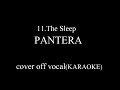 PANTERA - The Sleep cover instrumental (off vocal)