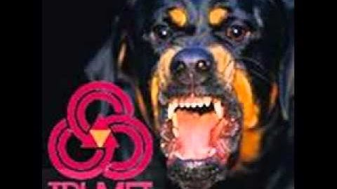 Trimet tortures its bus operators