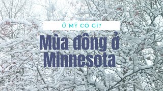 Ở Mỹ có gì - Mùa đông ở Minnesota - Phần 1