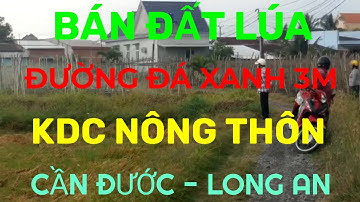 (Ms 130♥️Đã Bán) Đất Lúa Mặt Tiền Đường Đá Xanh 3m - Tân Lân, Cần Đước, Long An | Bđs Long An