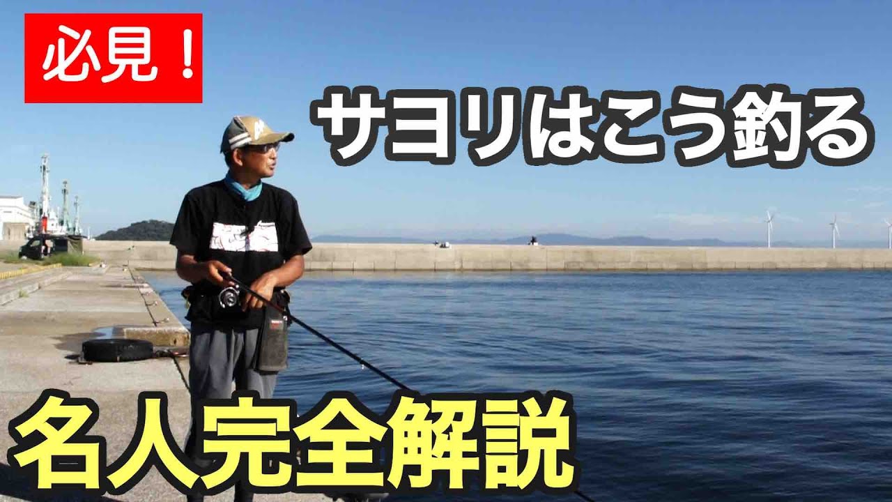 GO!GO!九ちゃんフィッシング #606plus　「愛知県三河湾でサヨリ釣り 重要！釣れる仕掛けのパーフェクト解説」