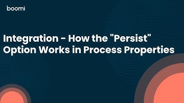 Integration - How The "Persist" Option Works In Process Properties
