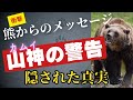 山神の警告〜熊からのメッセージ〜自然破壊を今すぐ止めなければいけない本当の理由、カムイの怒りと悲しみを背負った熊、私たちにできることは