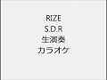 RIZE S.D.R 生演奏 カラオケ Instrumental cover