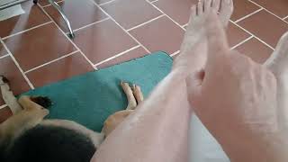 Download Lagu I broke my toe. MP3 Download Lagu I broke my toe. MP3