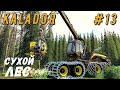 FS 19 - Новая делянка. Пилю сухой лес. Везу лес - KALADOR фермер лесоруб # 13