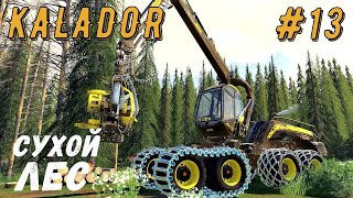 FS 19 - Новая делянка. Пилю сухой лес. Везу лес - KALADOR фермер лесоруб # 13