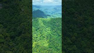 Organic Nature Therapy #revz #travel #noypi #djiair3s #nature