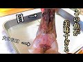 【珍魚】一般的には珍しい、ある魚を使った究極丼が美味過ぎて昇天！！