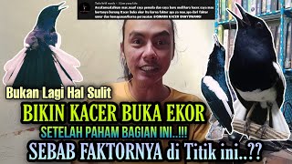 SETELAH MELIHAT INI,⁉️ BIKIN KACER GACOR BUKA EKOR Bukanlah Hal Sulit