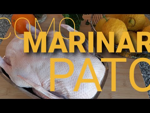 Vídeo: Como Cozinhar Borscht Com Pato