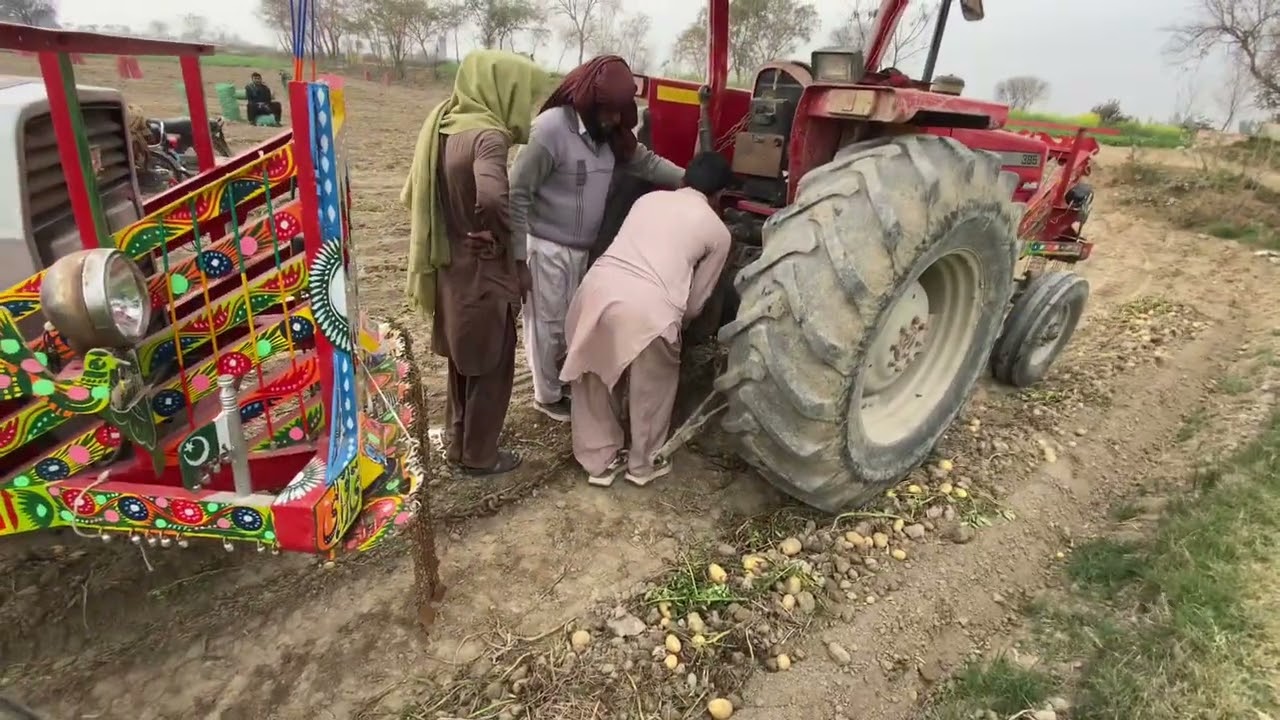 Massy 385 trali phans hai