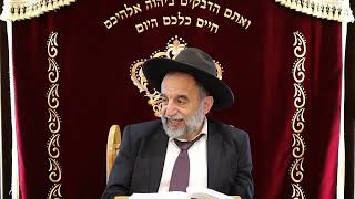 הרב יהודה נקי שליט"א הלכות שבת מלאכת מבשל תשפ"ב