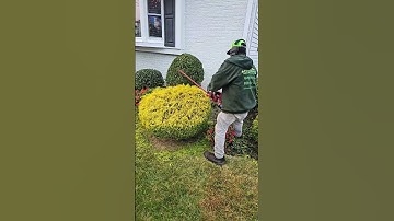 Toro  Flex-Force  Hedge Trimmer #lawncare