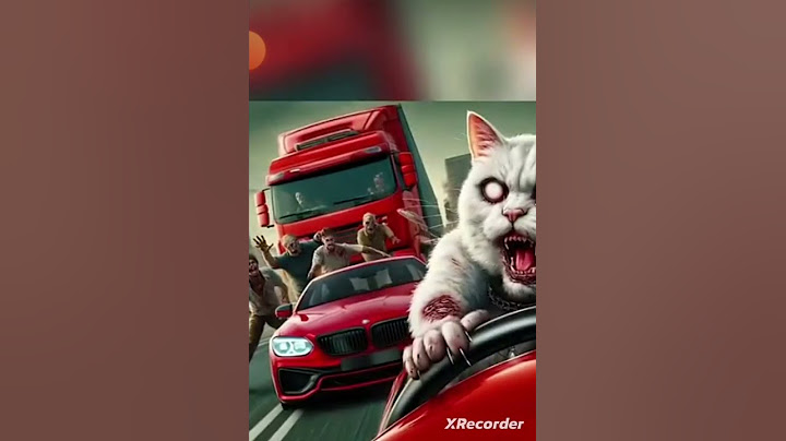 cat   zombie  Humans zombie