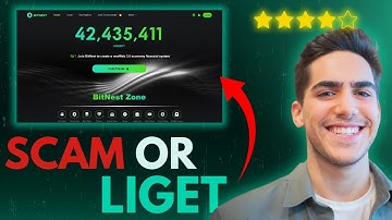 BitNest Crypto Platform Review – Truth About Withdrawals & Safety