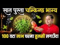 घरमा तुलसी लगाउँदा हुने 100 लाभ, कुन दिशामा लगाउने, कहिले लगाउने, Vastu tips for Tulasi, Vastu tips