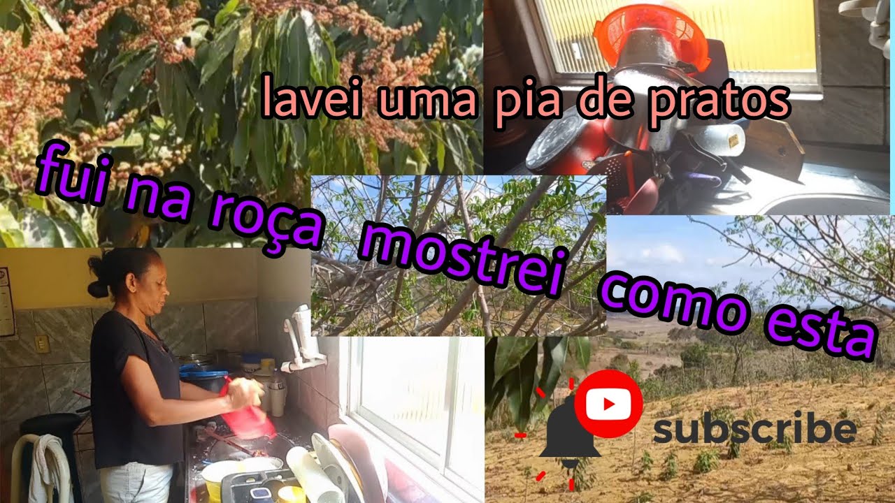 lavei uma pia de prato/fui na roça olha como ta tudo muito seco 