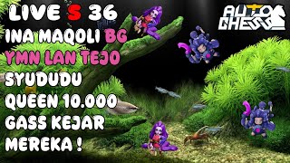 SAATNYA KEJAR TOP 1 DUNIA MENGGESER TEJO ! AUTO CHESS INDONESIA
