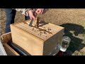 Raising Successful Package Bees - Day 4 Queen Check