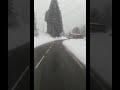 الشاب خلاص سطايفي