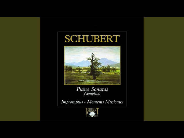 Schubert - Sonate pour piano D. 840 "Reliquie": 2nd mvt "Andante" : Rudolf Serkin, piano