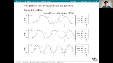 Irene Tubikanec - Splitting methods for the stochastic FitzHugh-Nagumo model