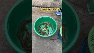Hanoi Local Market | Vietnam | budget Trip #explore #travel #budget