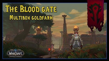Blood Gate: UNinsane WOW MultiBox / Group GoldFarm