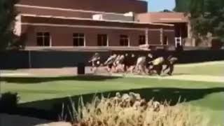 Naruto running vine