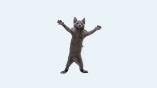 cats   the living tombstone sped up 1 hour