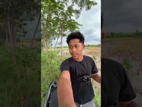 Misi cari gabus buat malam tahun baruan