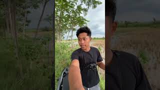 Misi cari gabus buat malam tahun baruan