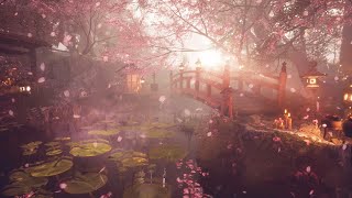 Japanese Garden fluttering cherry blossoms I Immersive Experience [4K]
