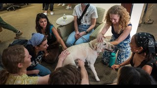 Study break with therapy dogs at Rice University