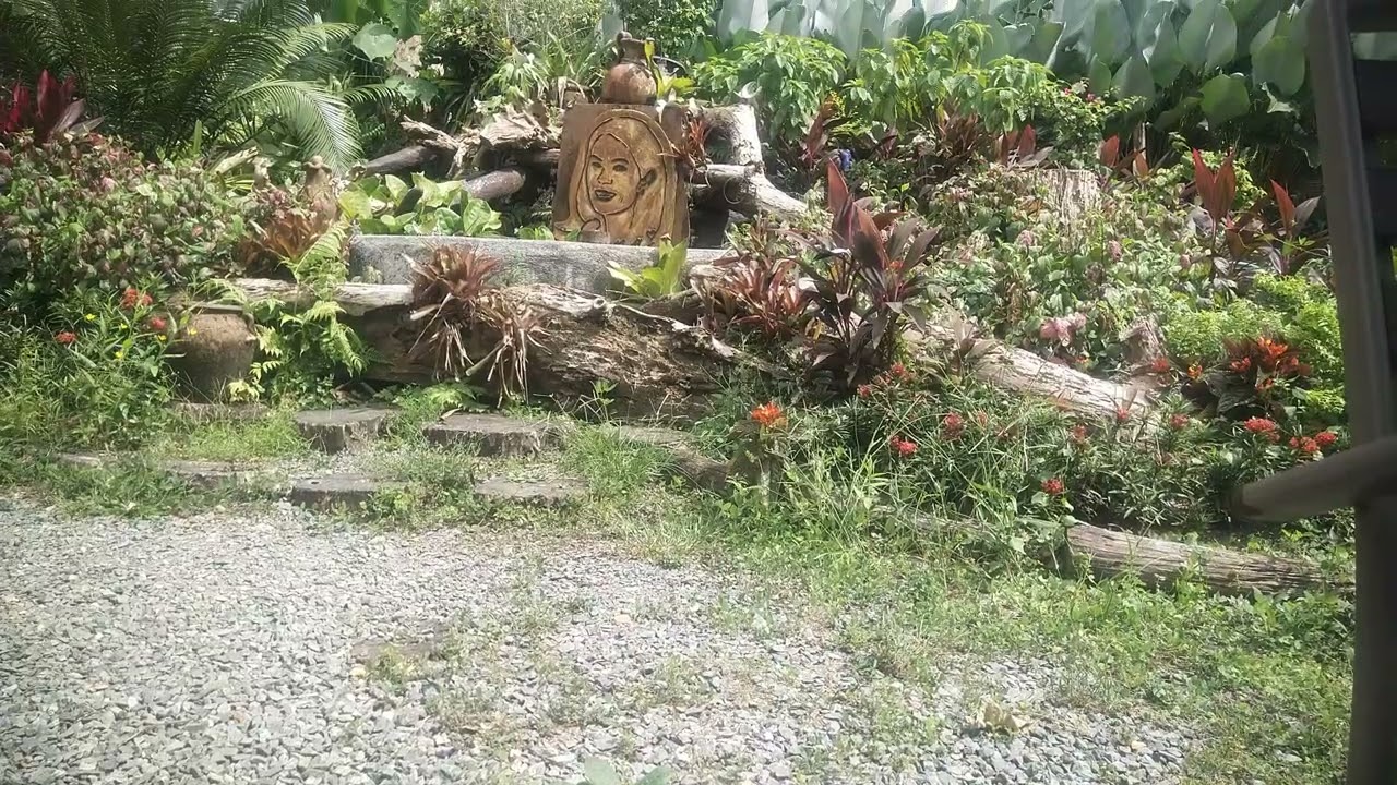 1MV - the lady in the wood